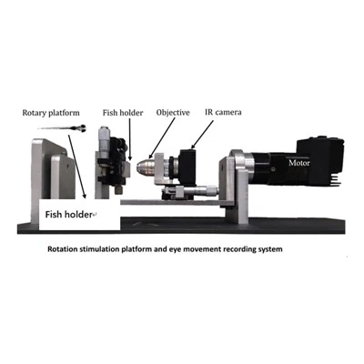 Sustav za testiranje vestibularnog očnog refleksa zebrice